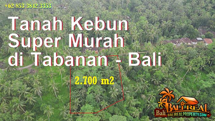 Affordable Land for Sale in Penebel Tabanan Bali TJTB826